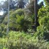 DSC04693