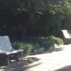 DSC04697