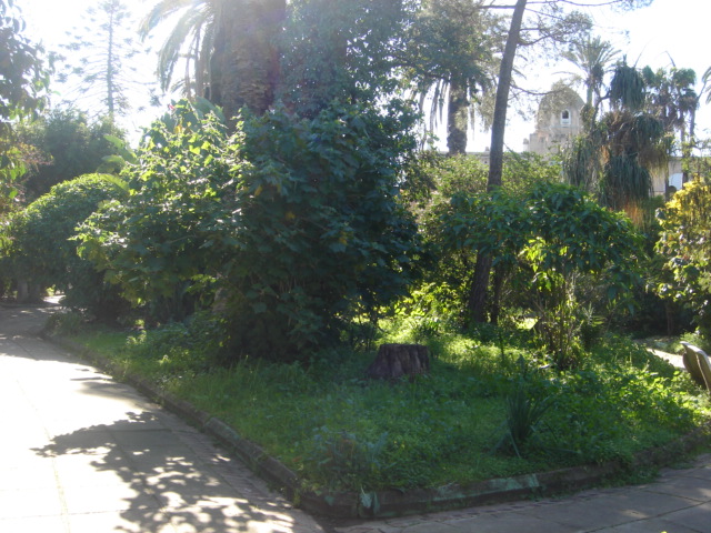 DSC04698