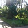 DSC04698