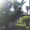DSC04699