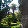 DSC04700