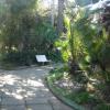 DSC04701