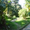 DSC04702