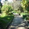 DSC04703