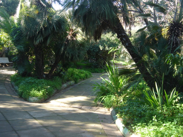 DSC04706