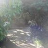 DSC04709