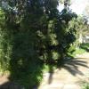 DSC04710