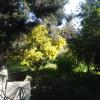 DSC04721