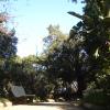 DSC04727