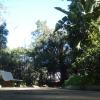DSC04728