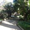 DSC04731