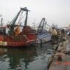 Bouharoun le Port