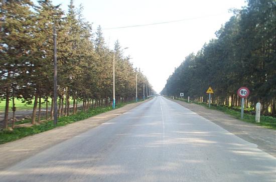 Route de la pepinière ( el karia )