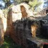 TIPAZA LES RUINES