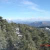 CHREA