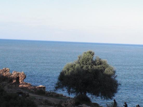 Vue sur mer ,Ruines