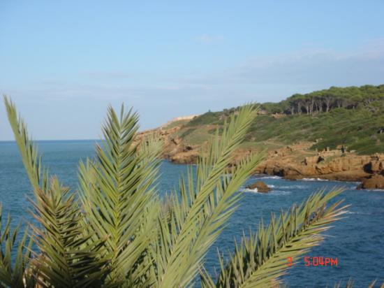 TIPAZA LES RUINES